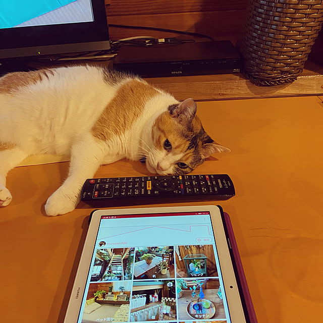 murasaki808さんの実例写真