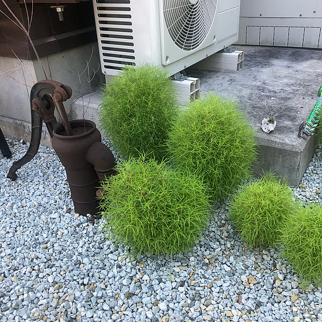 kimuさんの実例写真