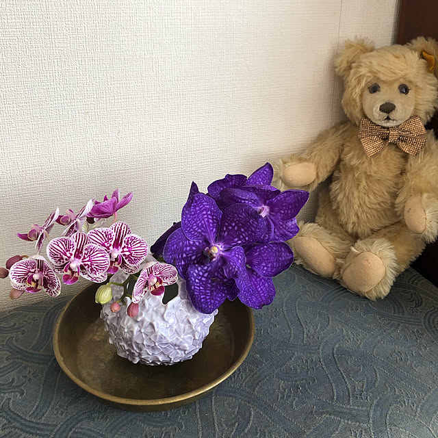 sakaeさんの実例写真