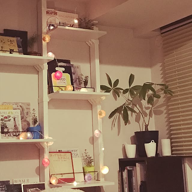 chekyuさんの実例写真