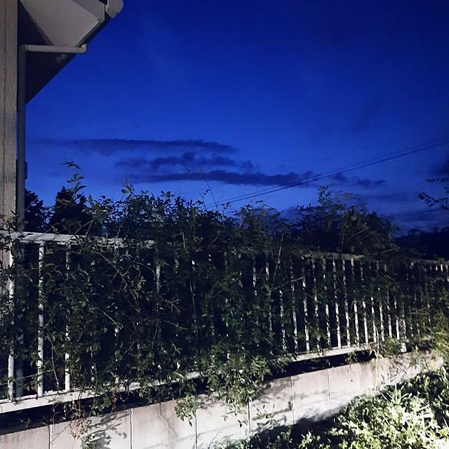prepreさんの実例写真