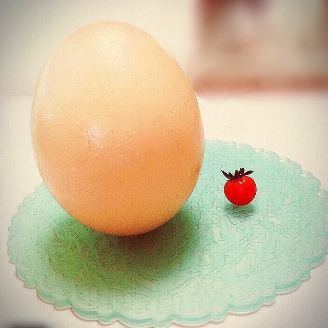 mocoさんの実例写真
