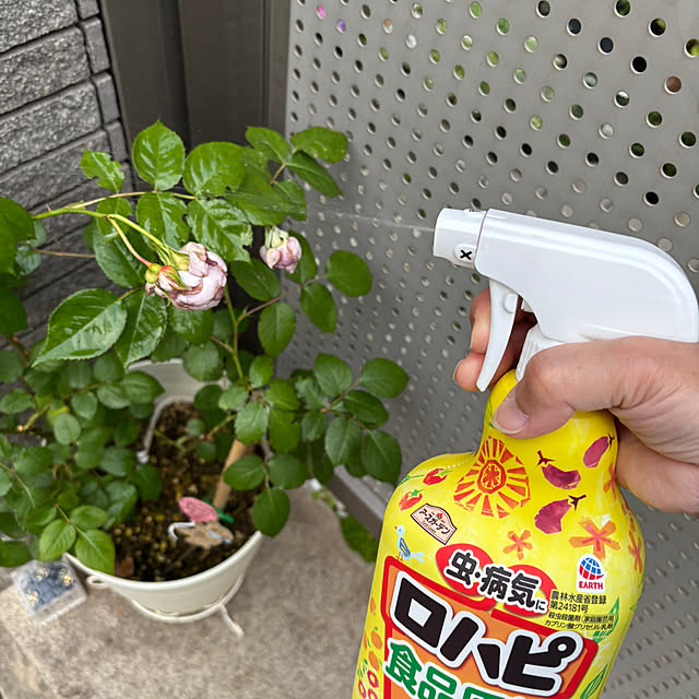 maayaさんの部屋