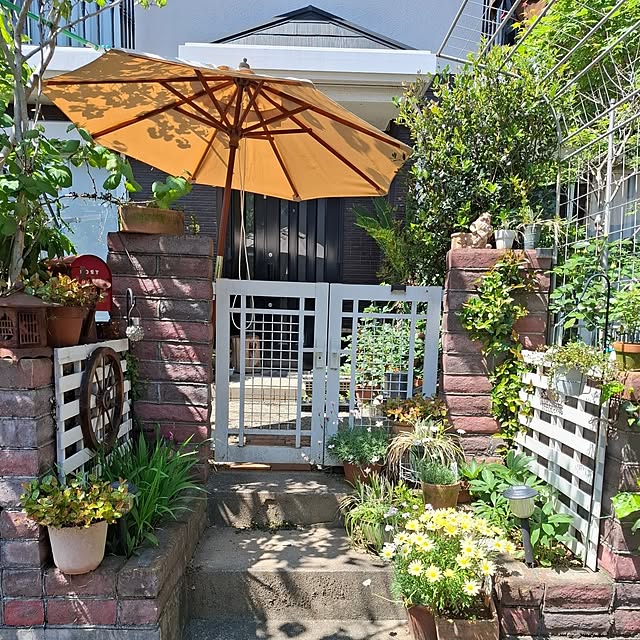 midoriさんの部屋