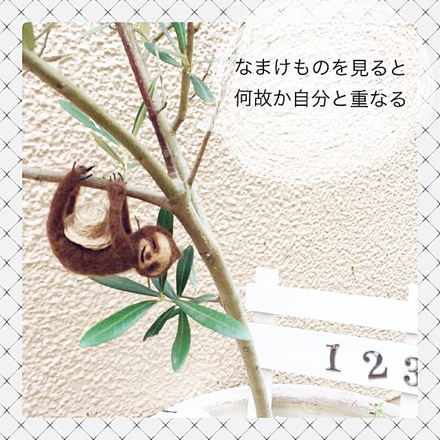 kusuttoさんの実例写真