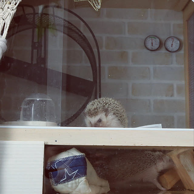 Chikakoさんの実例写真