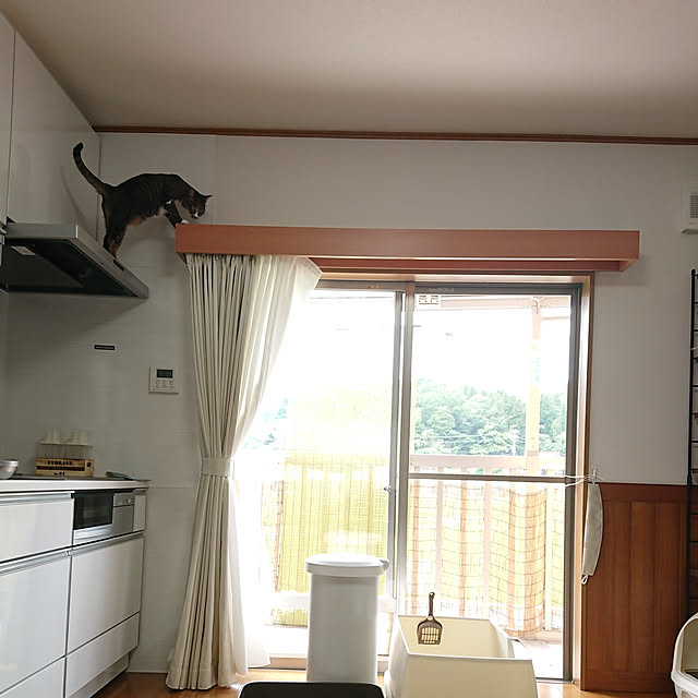nachiさんの実例写真