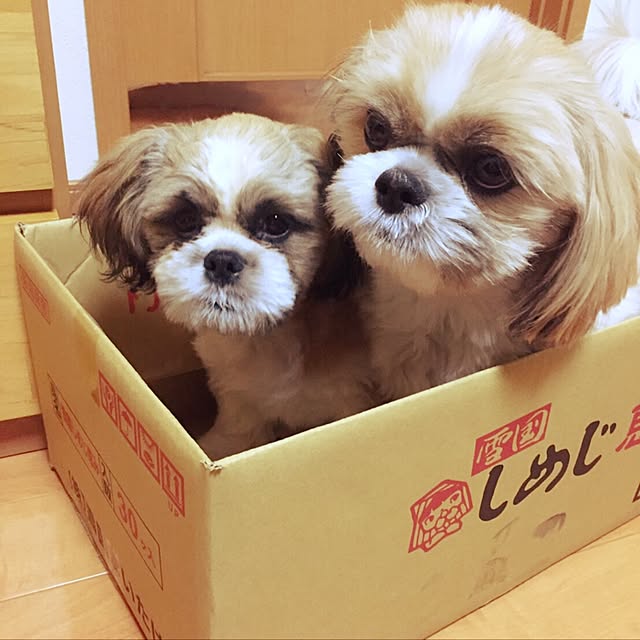 issei19maasa10さんの実例写真
