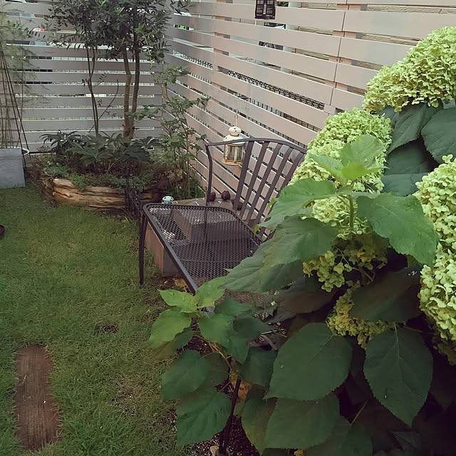 akiさんの実例写真