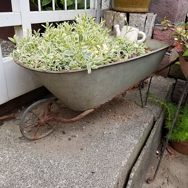 midoriさんの部屋