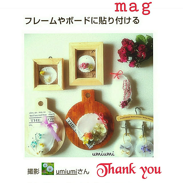 umiumiさんの実例写真