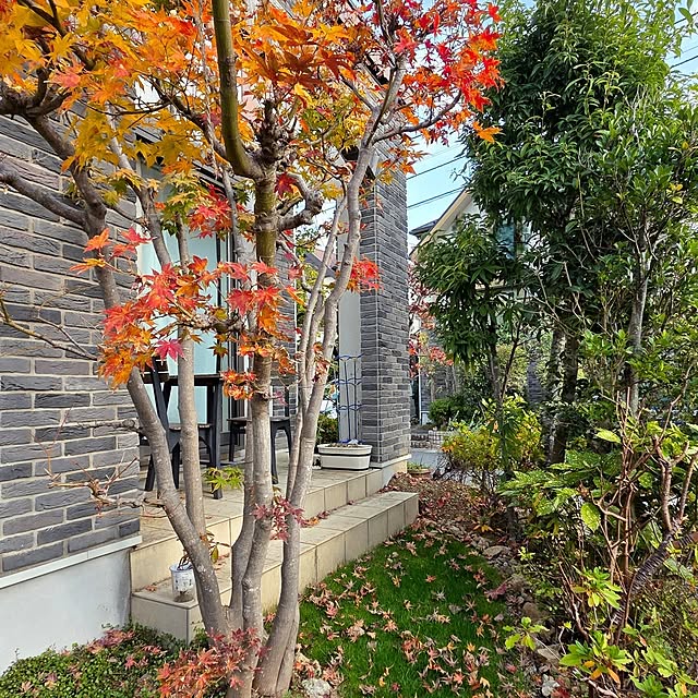 MARIE.color.interiorさんの部屋