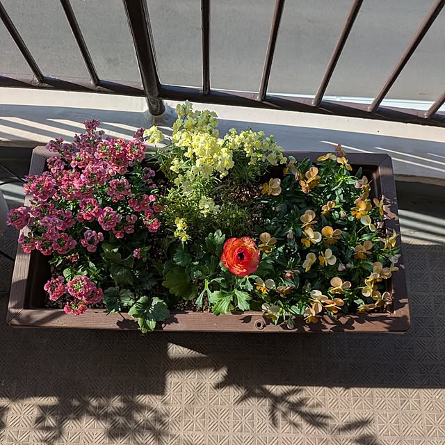 mi-saさんの部屋