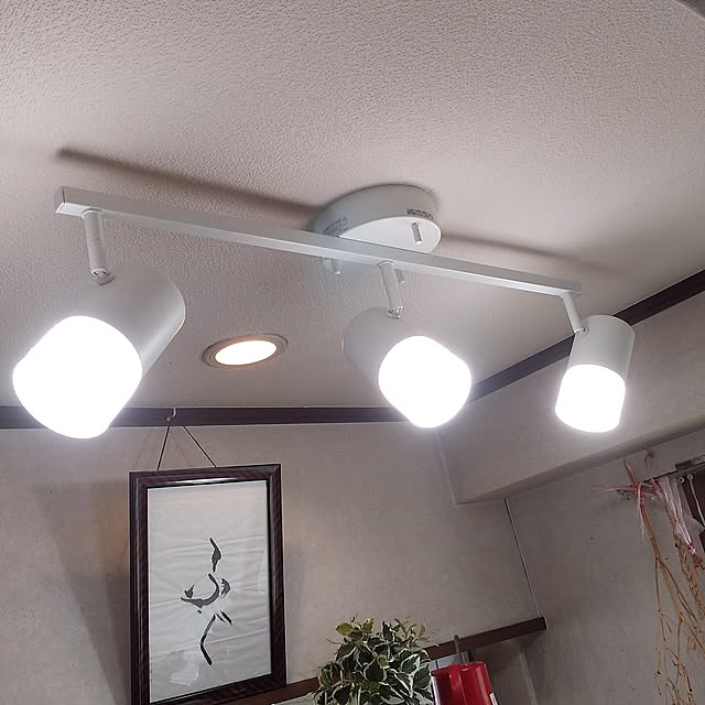 tomoko.tk1130Tomさんの実例写真
