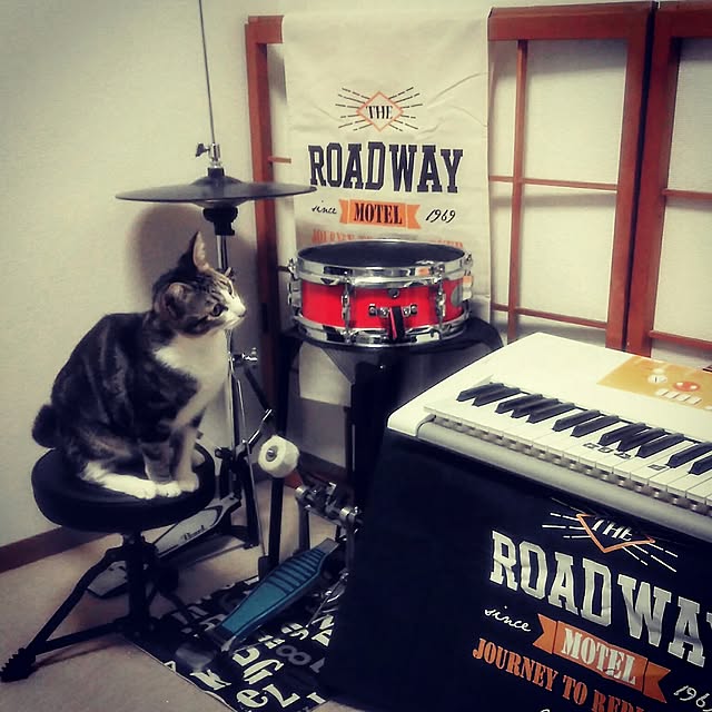 yuuさんの実例写真