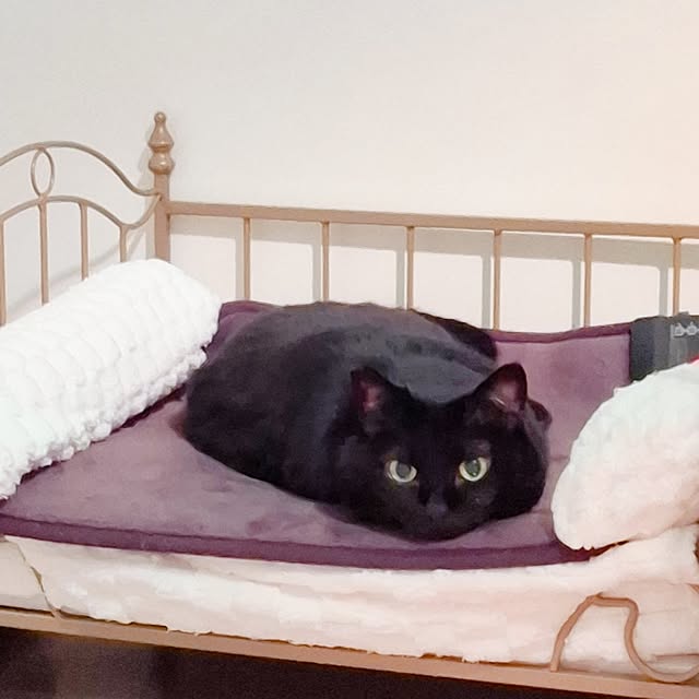 moko.7525himeさんの部屋