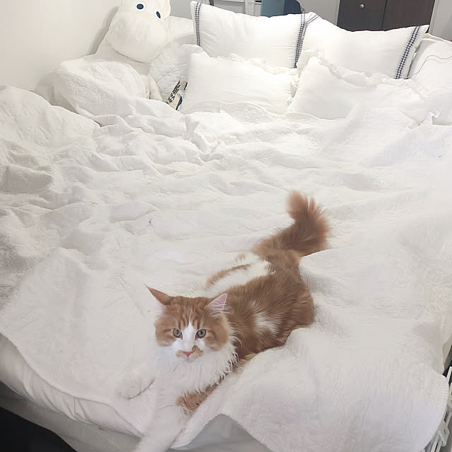 asuさんの実例写真