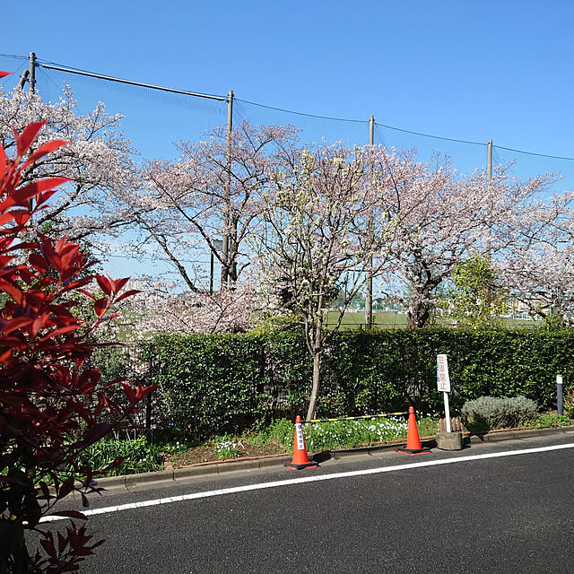 naonao1019さんの実例写真