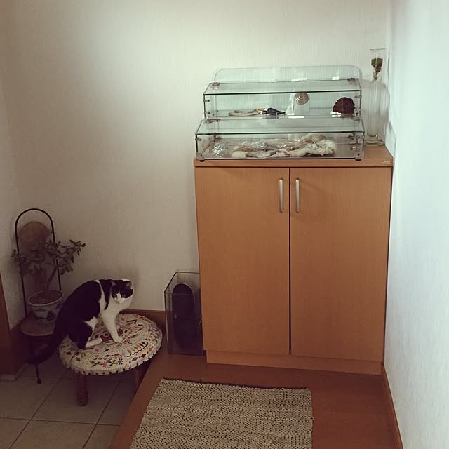 afroさんの実例写真