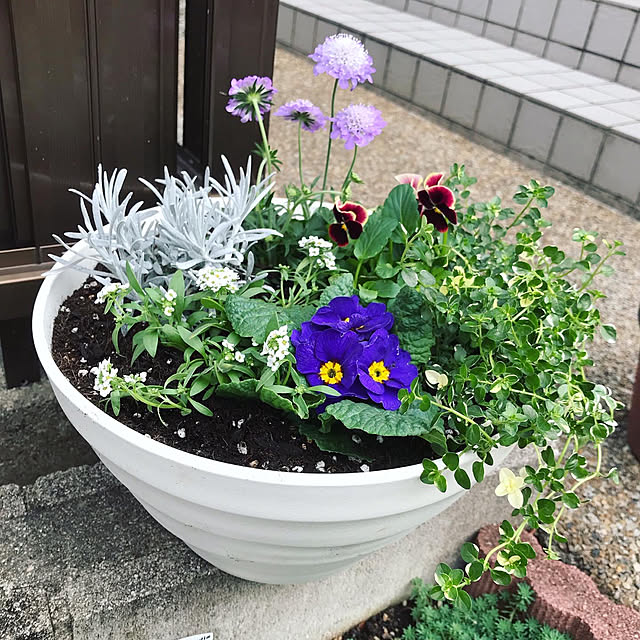 kirinchanさんの実例写真