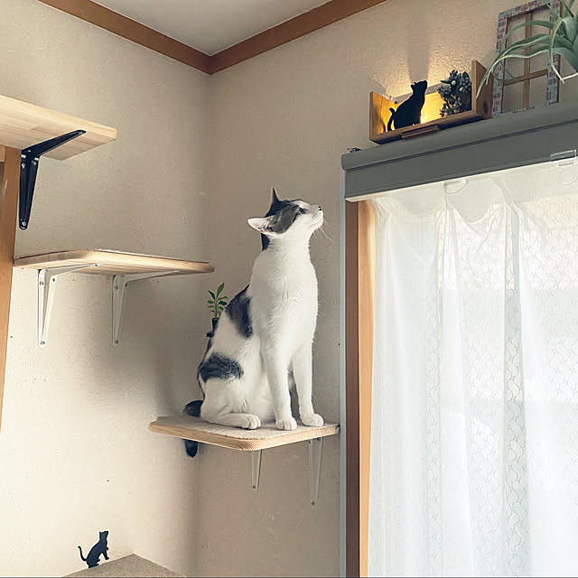 Lufuさんの実例写真