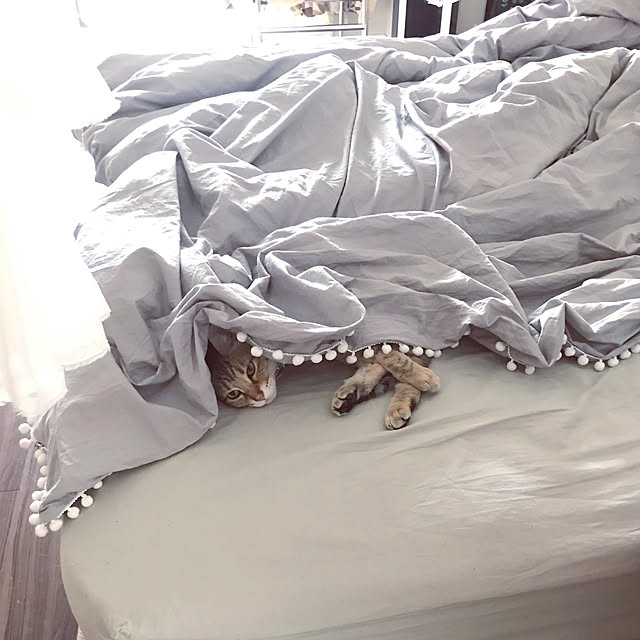 1633さんの実例写真