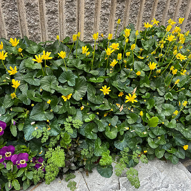 romiromiさんの部屋