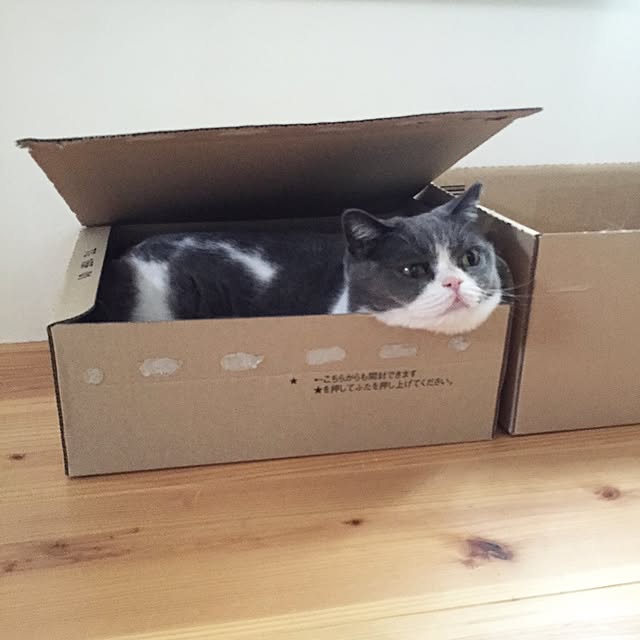 mohayaeteさんの実例写真