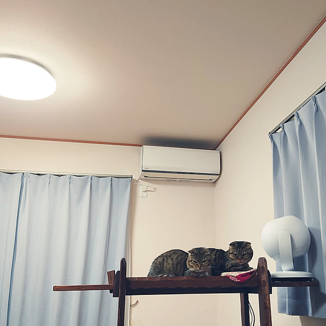 noguriさんの実例写真