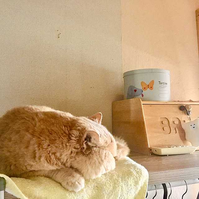 naokoさんの部屋