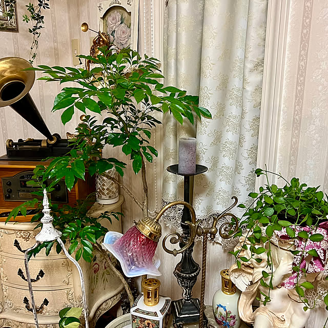 AYUKOさんの部屋
