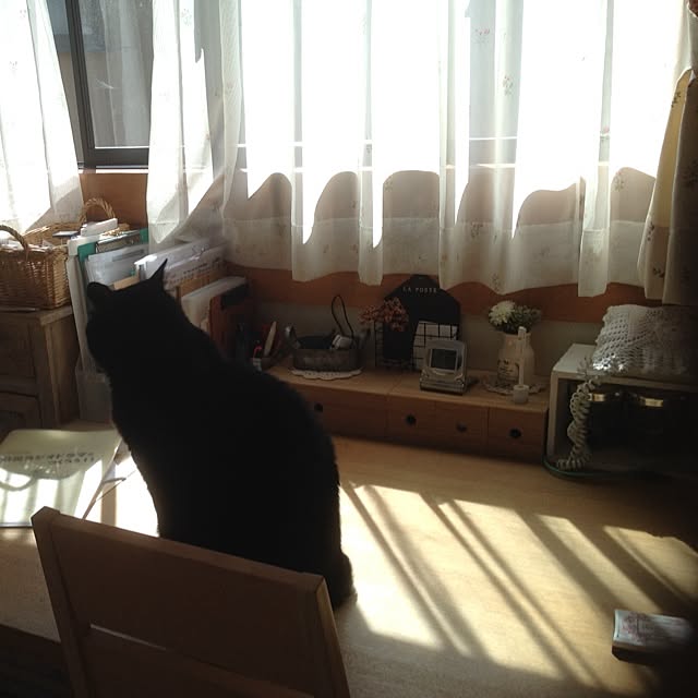 gagnerさんの実例写真