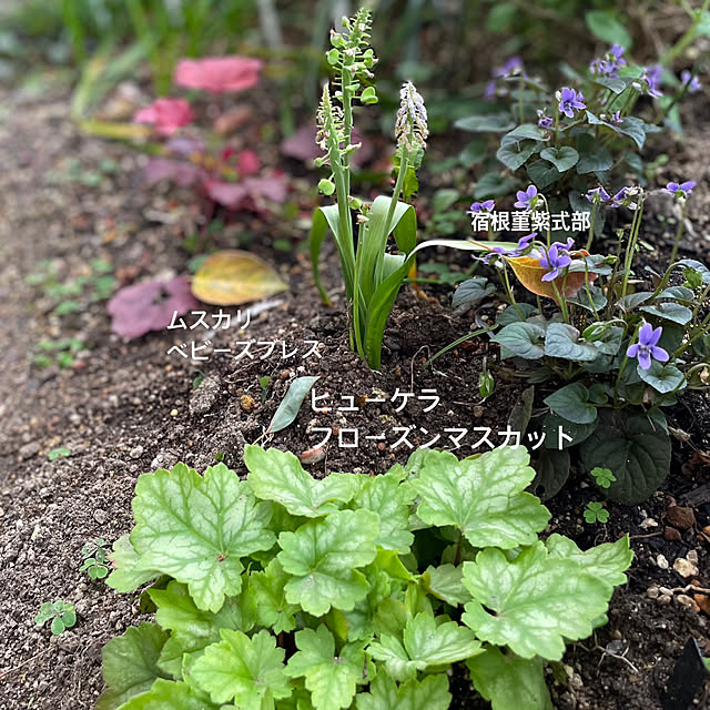 buchiさんの部屋
