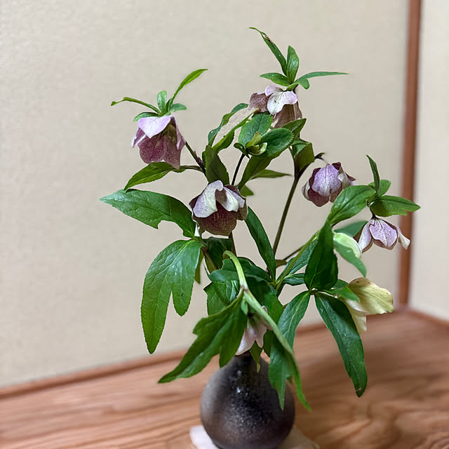 sakakenさんの部屋