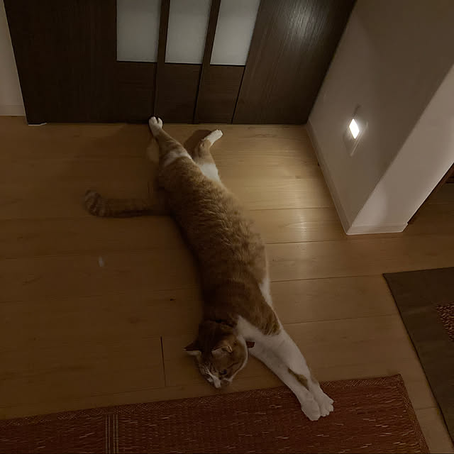 mkmkmoominさんの実例写真