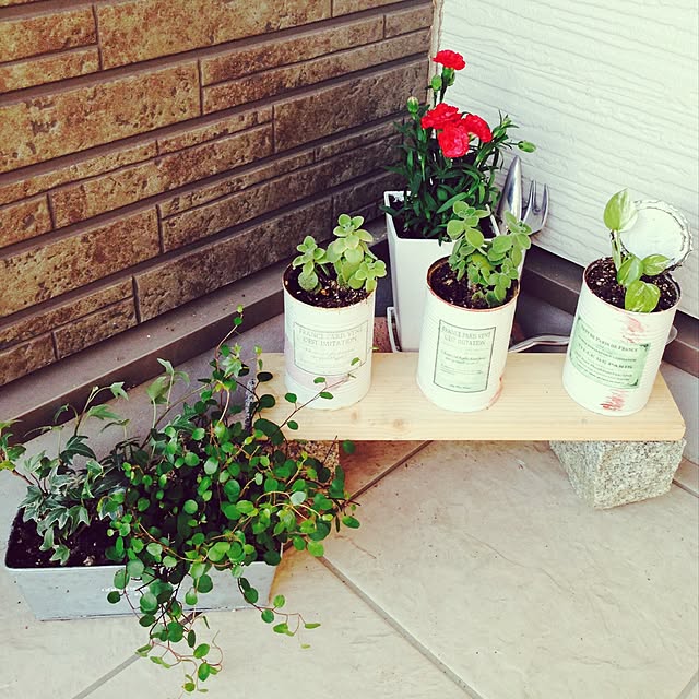 玄関/入り口/DIY/観葉植物のインテリア実例 - 2015-06-02 21:41:22