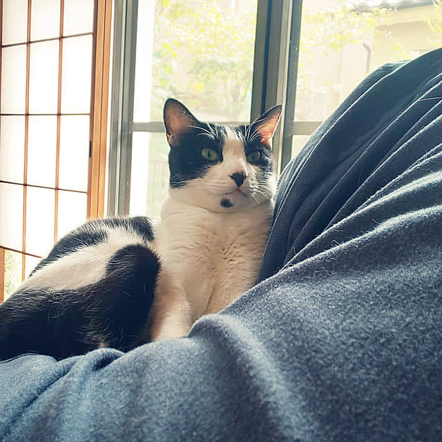 oseroさんの実例写真