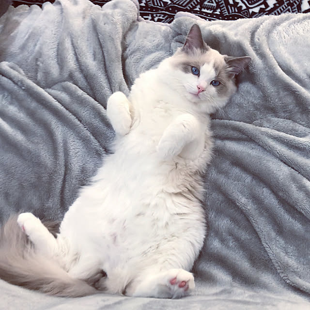 mizukiさんの実例写真