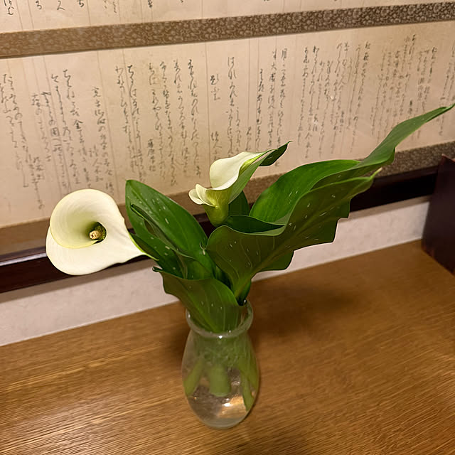 mamizaさんの部屋