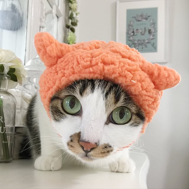 yuchiさんの実例写真