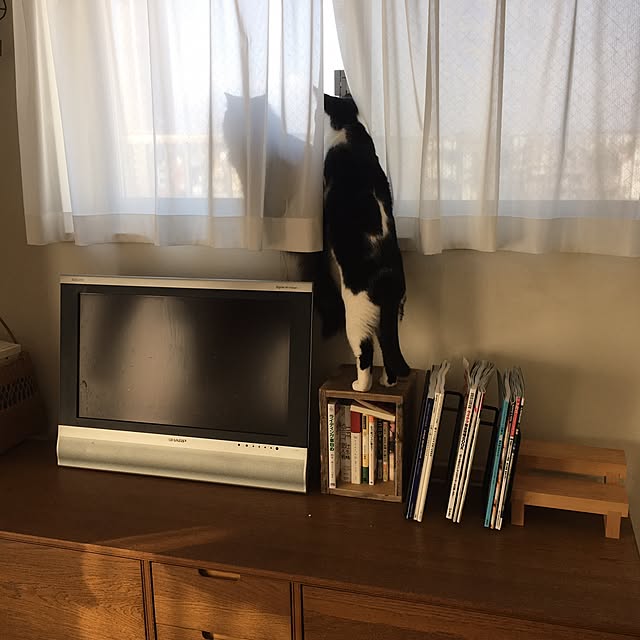 mikomaruさんの実例写真