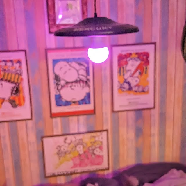 GINさんの部屋