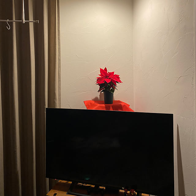 minatamaさんの実例写真