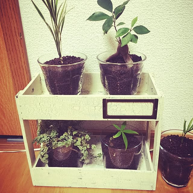 shirozo00さんの実例写真