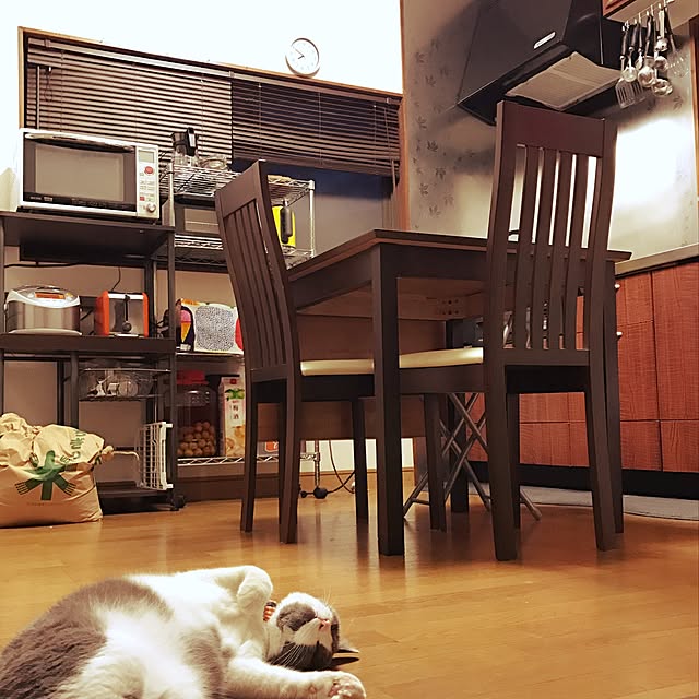 hacchiさんの実例写真