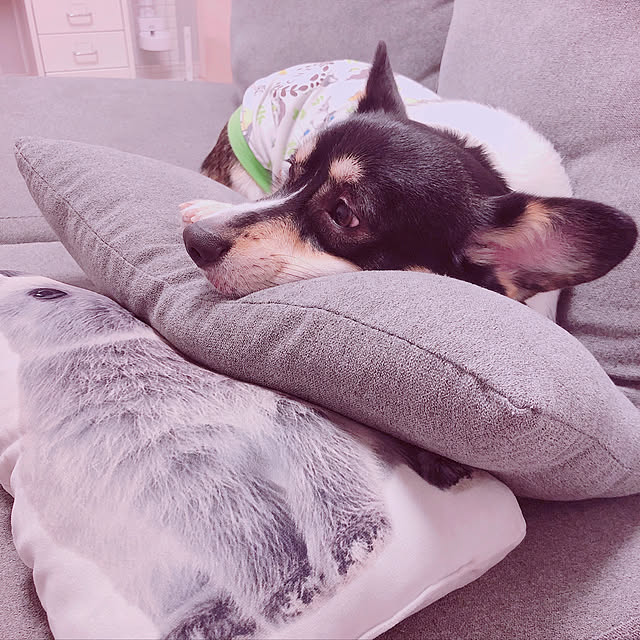 Ruiさんの実例写真