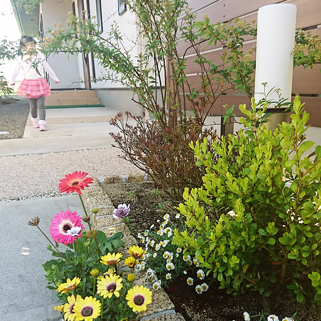 akeさんの実例写真