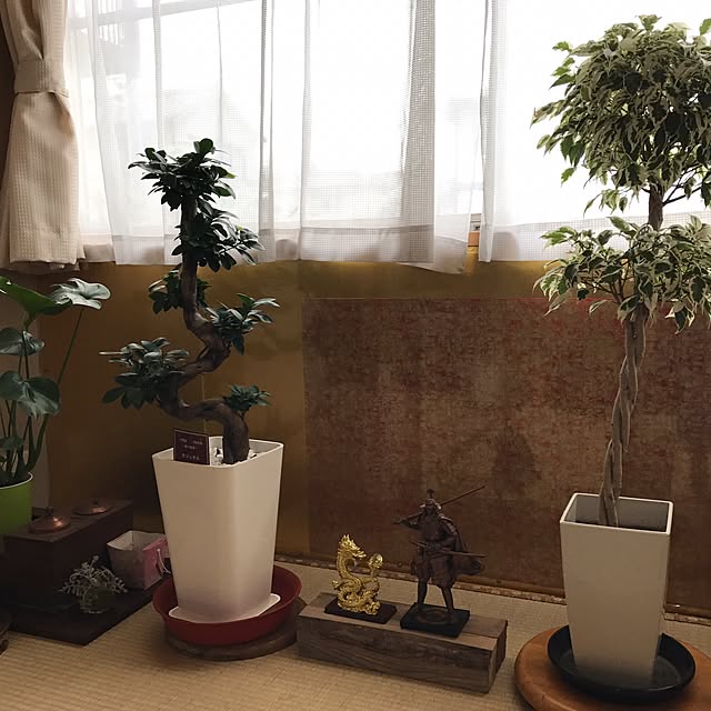 tornadeさんの実例写真
