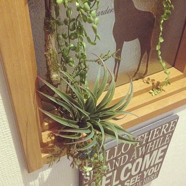 dalk7さんの実例写真