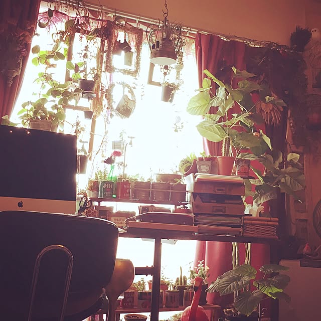 机/観葉植物/アンティーク/一人暮らし/レトロ...などのインテリア実例 - 2017-01-26 21:37:05